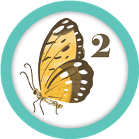badge